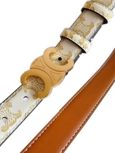 Celine Medium Triomphe Belt Gold Buckle Canvas Leather